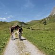 sommer_0305.jpg